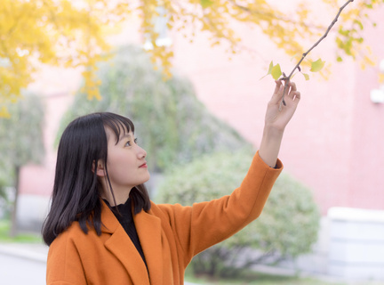 菲律宾旅游证办理进度怎么查询(旅游签知识可收藏)